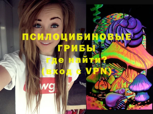 бутик Пересвет
