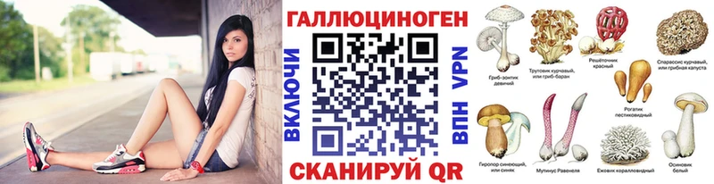 Псилоцибиновые грибы Magic Shrooms Торжок