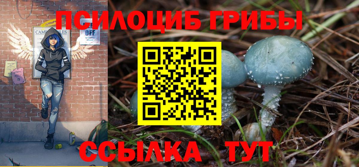 Торжок  Галлюциногенные грибы Psilocybe  Псилоцибиновые грибы MAGIC MUSHROOMS  Вход с VPN 