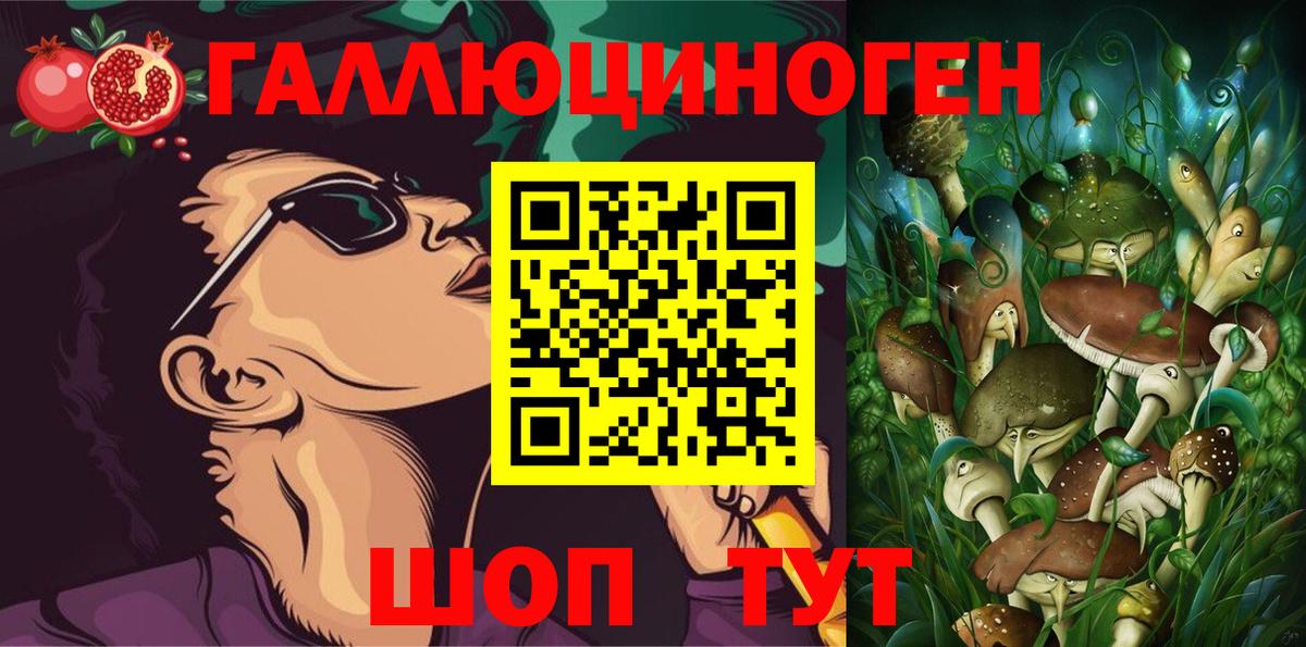 Галлюциногенные грибы Cubensis Торжок