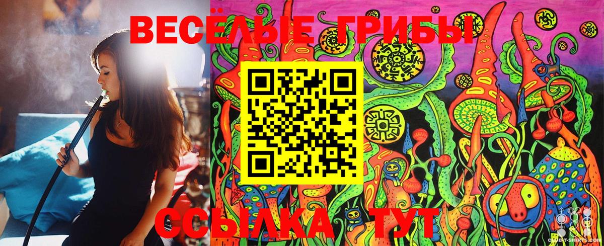 Галлюциногенные грибы MAGIC MUSHROOMS  Торжок 